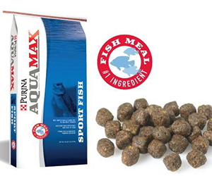 Fish Feed